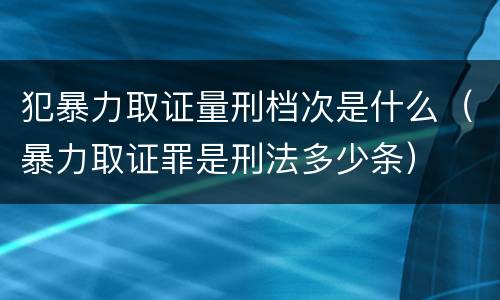 犯暴力取证量刑档次是什么（暴力取证罪是刑法多少条）