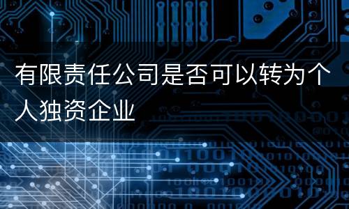 有限责任公司是否可以转为个人独资企业