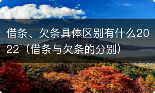 借条、欠条具体区别有什么2022（借条与欠条的分别）