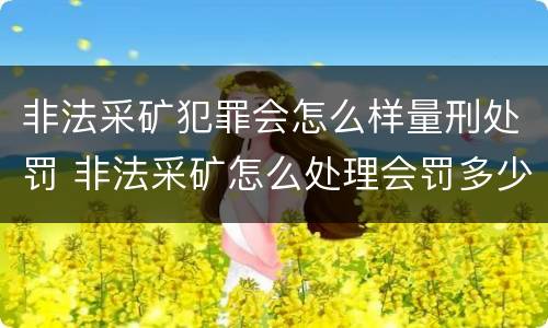 非法采矿犯罪会怎么样量刑处罚 非法采矿怎么处理会罚多少钱