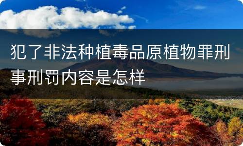 犯了非法种植毒品原植物罪刑事刑罚内容是怎样