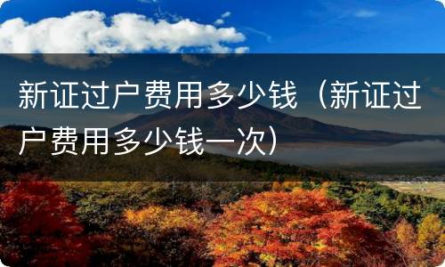 新证过户费用多少钱（新证过户费用多少钱一次）