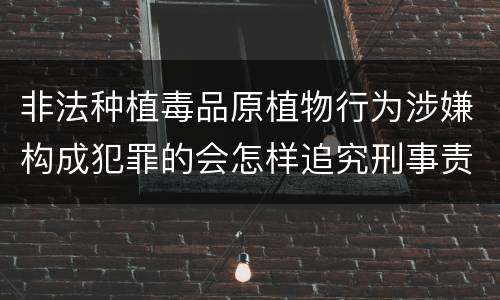 非法种植毒品原植物行为涉嫌构成犯罪的会怎样追究刑事责任