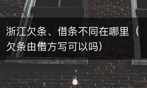 浙江欠条、借条不同在哪里（欠条由借方写可以吗）