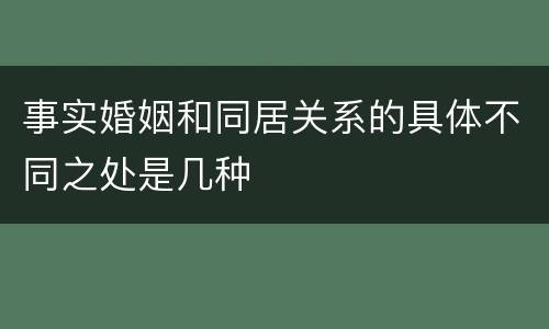事实婚姻和同居关系的具体不同之处是几种