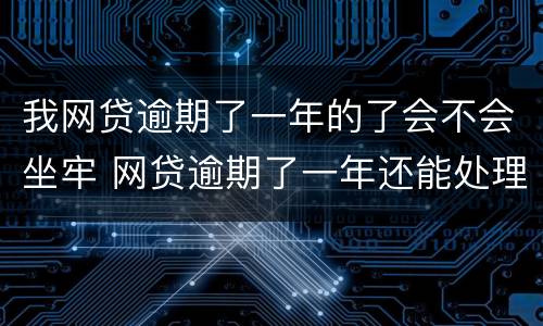 我网贷逾期了一年的了会不会坐牢 网贷逾期了一年还能处理吗?