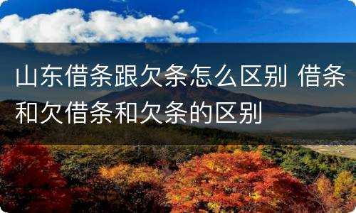 山东借条跟欠条怎么区别 借条和欠借条和欠条的区别