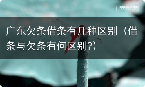广东欠条借条有几种区别（借条与欠条有何区别?）