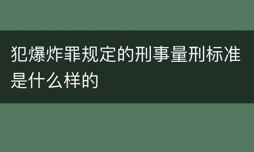 犯爆炸罪规定的刑事量刑标准是什么样的