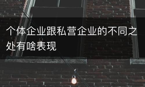 个体企业跟私营企业的不同之处有啥表现