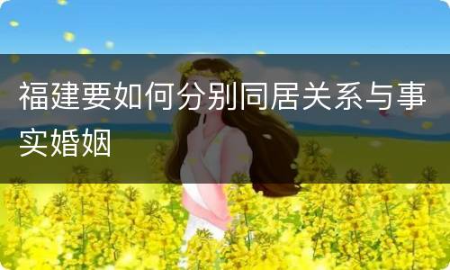 福建要如何分别同居关系与事实婚姻