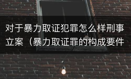 对于暴力取证犯罪怎么样刑事立案（暴力取证罪的构成要件）