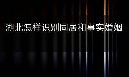 湖北怎样识别同居和事实婚姻
