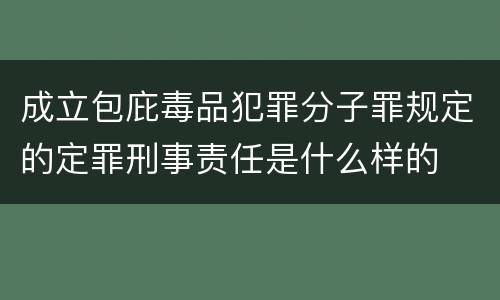 成立包庇毒品犯罪分子罪规定的定罪刑事责任是什么样的