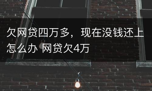 欠网贷四万多，现在没钱还上怎么办 网贷欠4万