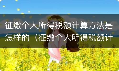 征缴个人所得税额计算方法是怎样的（征缴个人所得税额计算方法是怎样的呢）