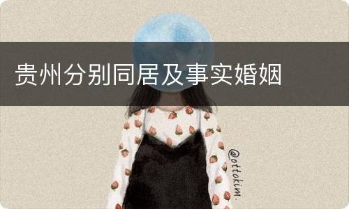 贵州分别同居及事实婚姻