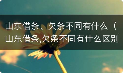 山东借条、欠条不同有什么（山东借条,欠条不同有什么区别）