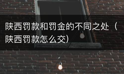 陕西罚款和罚金的不同之处（陕西罚款怎么交）