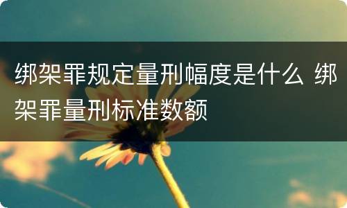 绑架罪规定量刑幅度是什么 绑架罪量刑标准数额