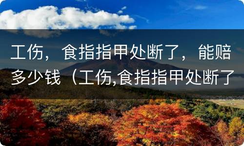 工伤，食指指甲处断了，能赔多少钱（工伤,食指指甲处断了,能赔多少钱啊）
