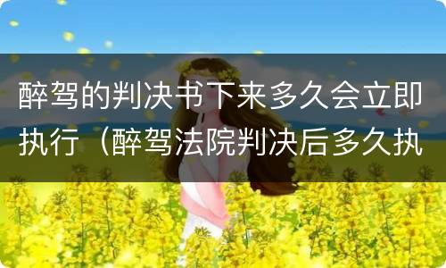 醉驾的判决书下来多久会立即执行（醉驾法院判决后多久执行）