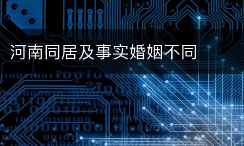 河南同居及事实婚姻不同