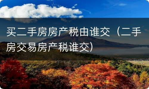 买二手房房产税由谁交（二手房交易房产税谁交）