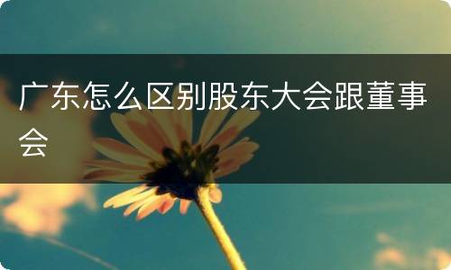 广东怎么区别股东大会跟董事会