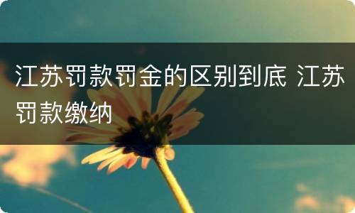 江苏罚款罚金的区别到底 江苏罚款缴纳