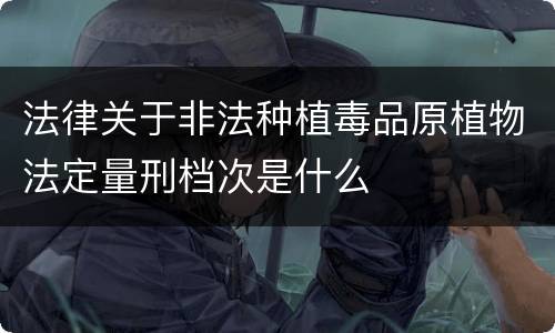 法律关于非法种植毒品原植物法定量刑档次是什么