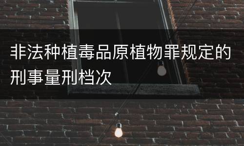 非法种植毒品原植物罪规定的刑事量刑档次
