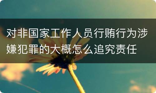 对非国家工作人员行贿行为涉嫌犯罪的大概怎么追究责任