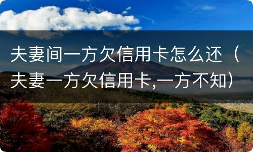 夫妻间一方欠信用卡怎么还（夫妻一方欠信用卡,一方不知）