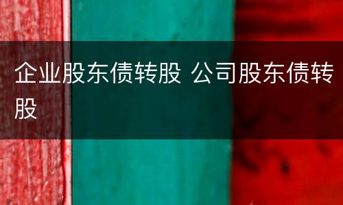 企业股东债转股 公司股东债转股