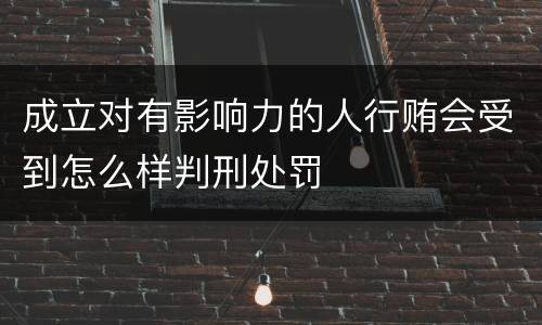 成立对有影响力的人行贿会受到怎么样判刑处罚