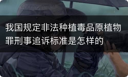 我国规定非法种植毒品原植物罪刑事追诉标准是怎样的