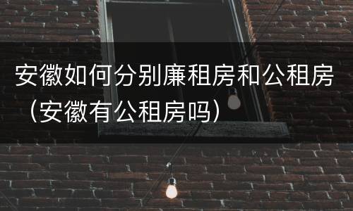 安徽如何分别廉租房和公租房（安徽有公租房吗）