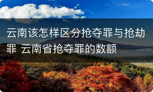 云南该怎样区分抢夺罪与抢劫罪 云南省抢夺罪的数额