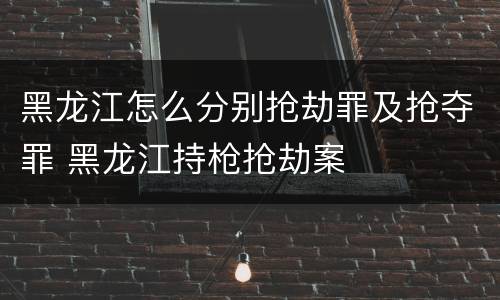 黑龙江怎么分别抢劫罪及抢夺罪 黑龙江持枪抢劫案