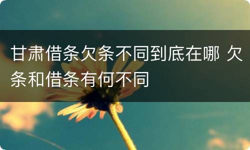 甘肃借条欠条不同到底在哪 欠条和借条有何不同