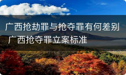 广西抢劫罪与抢夺罪有何差别 广西抢夺罪立案标准