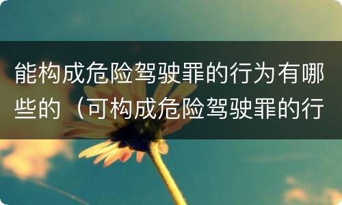 能构成危险驾驶罪的行为有哪些的（可构成危险驾驶罪的行为有哪些）