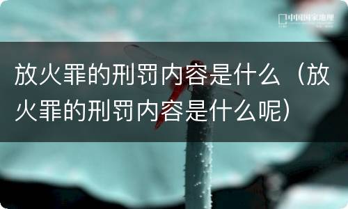 放火罪的刑罚内容是什么（放火罪的刑罚内容是什么呢）