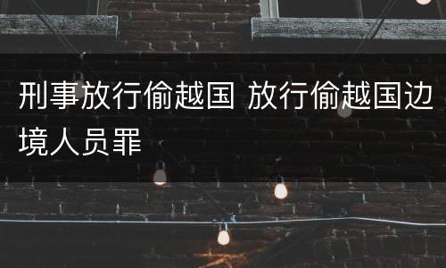 刑事放行偷越国 放行偷越国边境人员罪