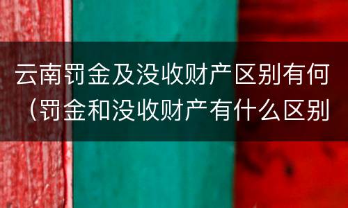 云南罚金及没收财产区别有何（罚金和没收财产有什么区别）