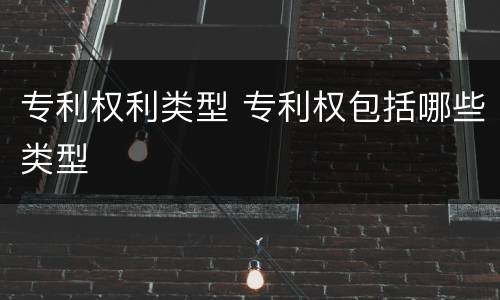 专利权利类型 专利权包括哪些类型
