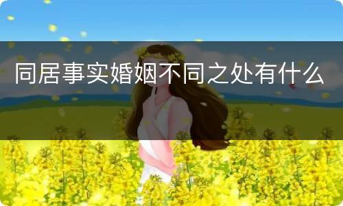 同居事实婚姻不同之处有什么
