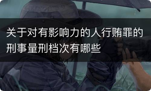 关于对有影响力的人行贿罪的刑事量刑档次有哪些