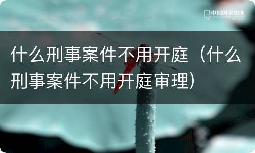 什么刑事案件不用开庭（什么刑事案件不用开庭审理）